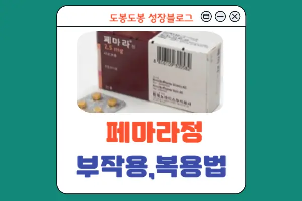 페마라정 안내 이미지