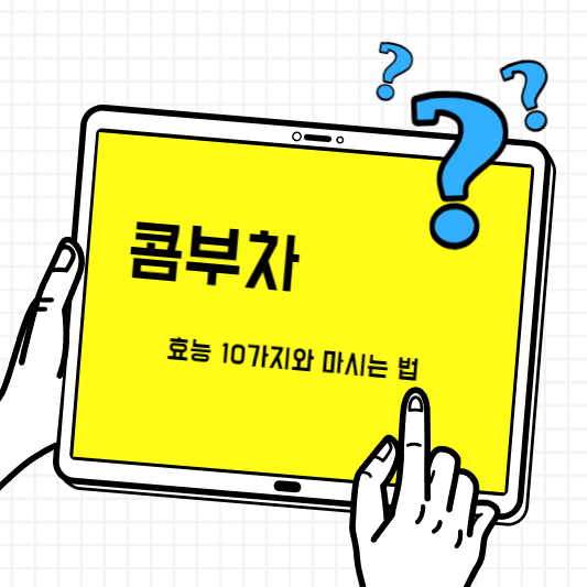 콤부차-효능10가지-마시는법-썸네일