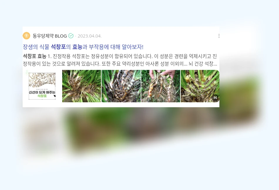 석창포 효능_3_subsection