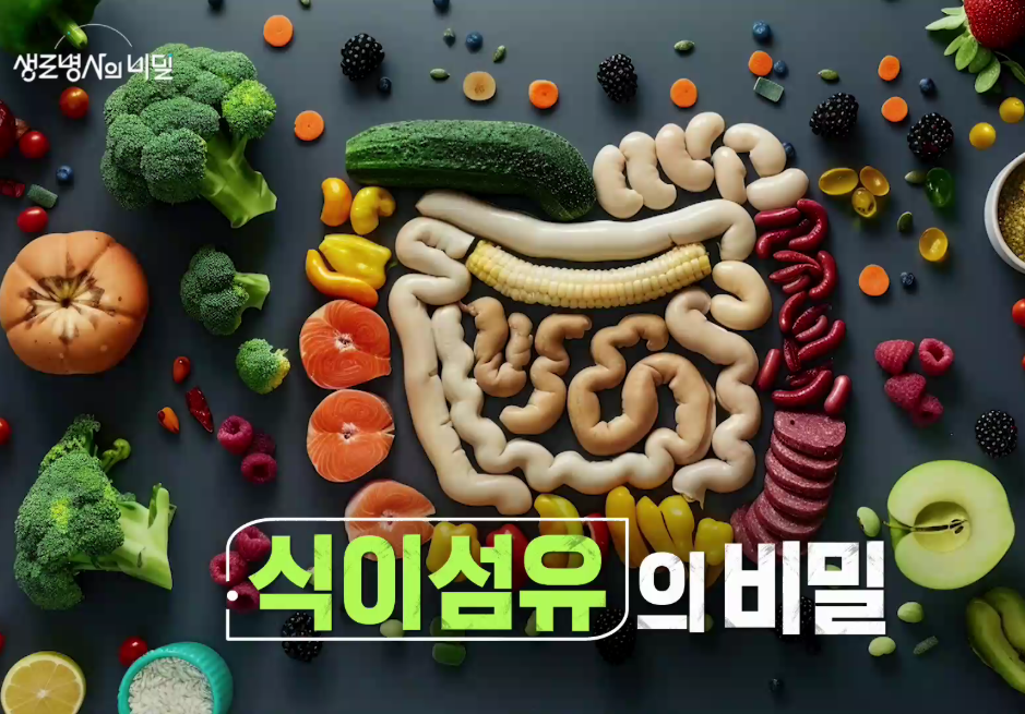 생로병사의 비밀 식이섬유