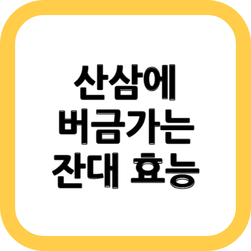 잔대 효능