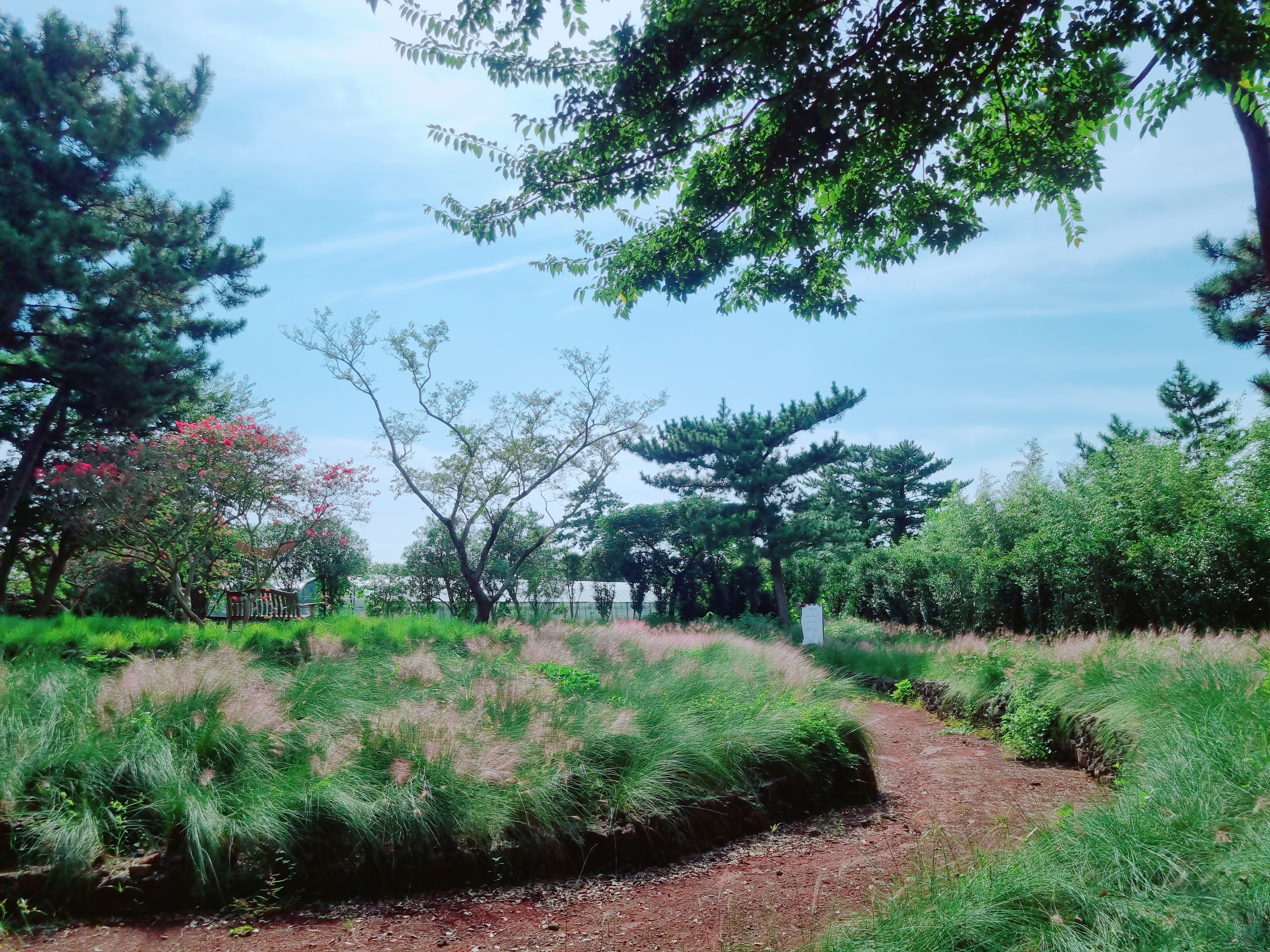 노리매공원
