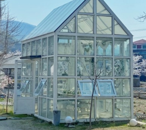 샤스타데이지 카페명소 BEST 5곳