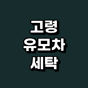 고령군 유모차 세탁