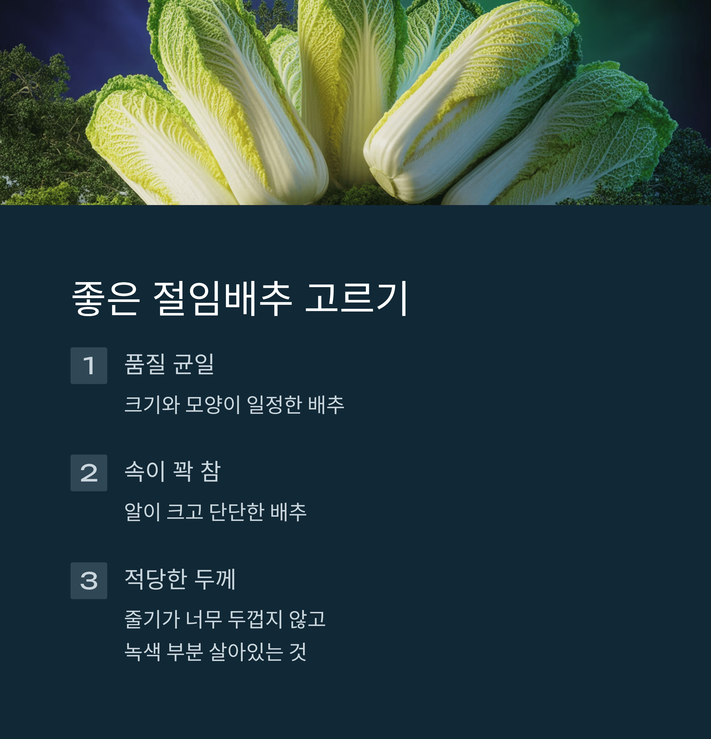 저렴한 절임 배추 사전 예약 꿀팁