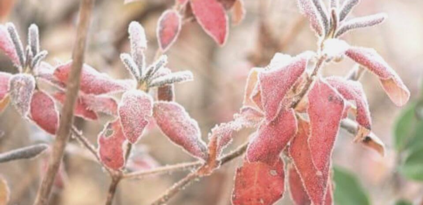 계절의 변화를 세분화한 24 절기 중 '상강' 이해하기