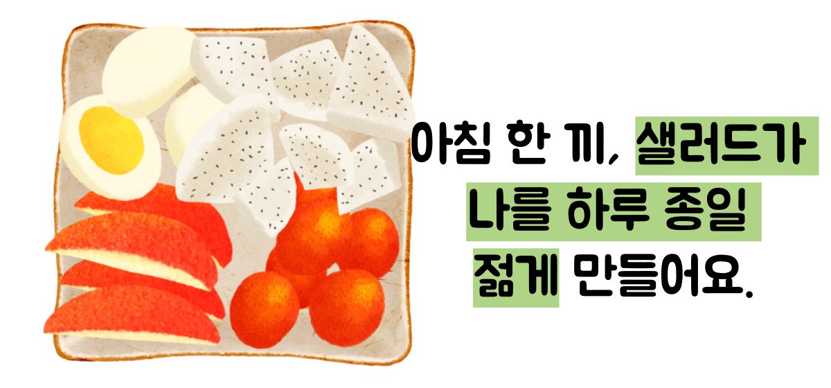 저속노화 식단