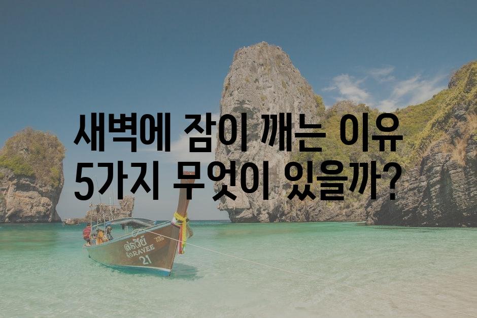 샘플 (80)