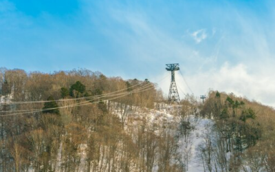 임업직불금 신청