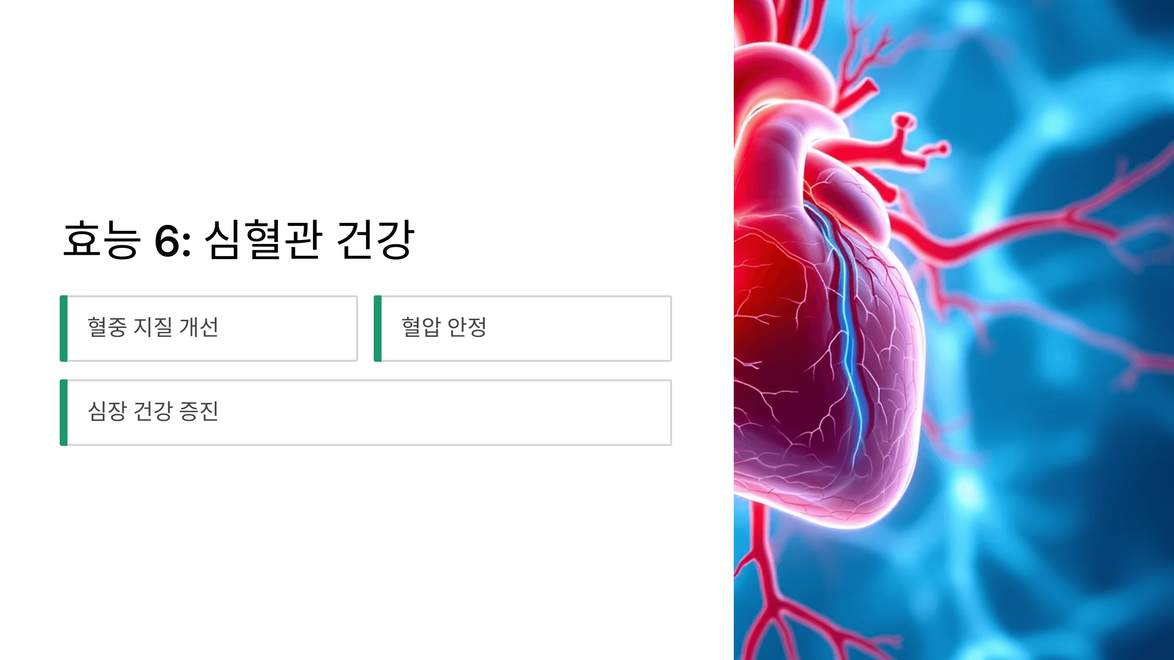 맥문동 사진입니다.