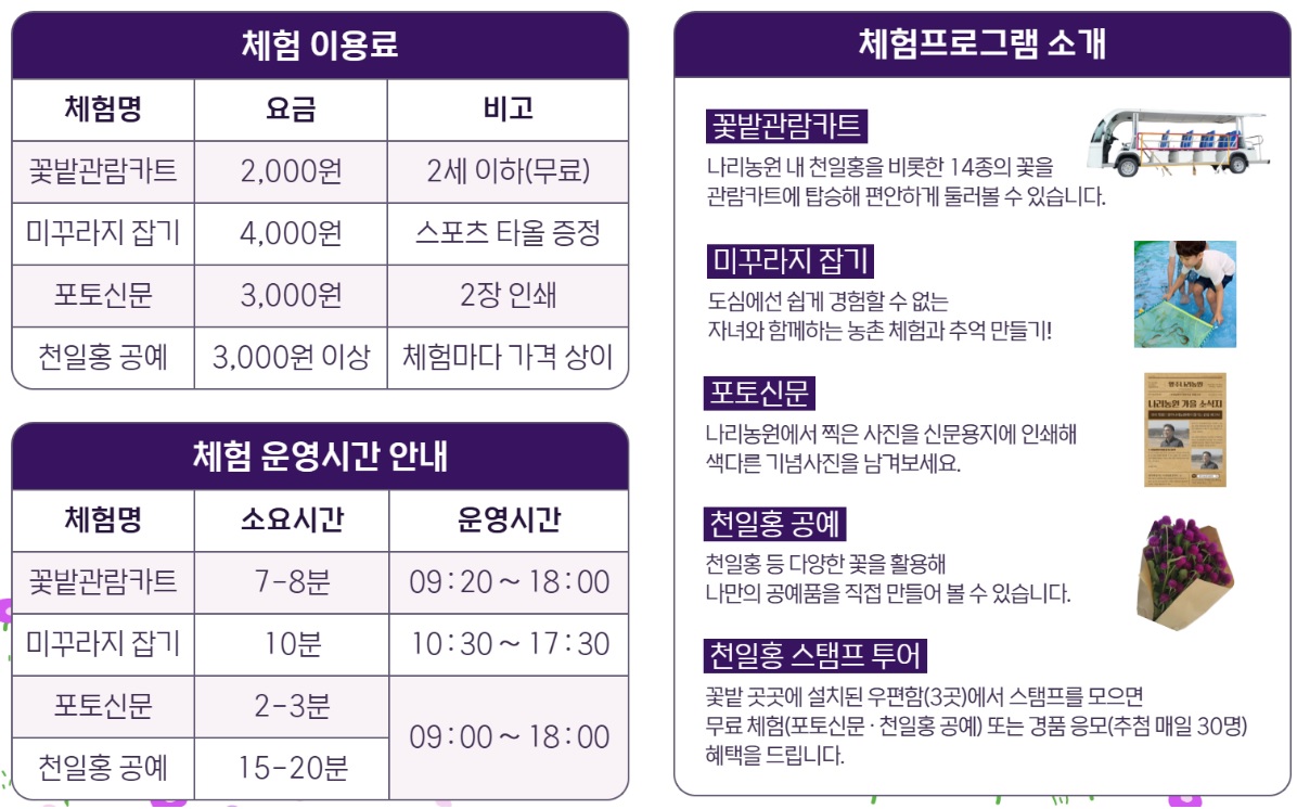 양주 나리농원 천일홍축제