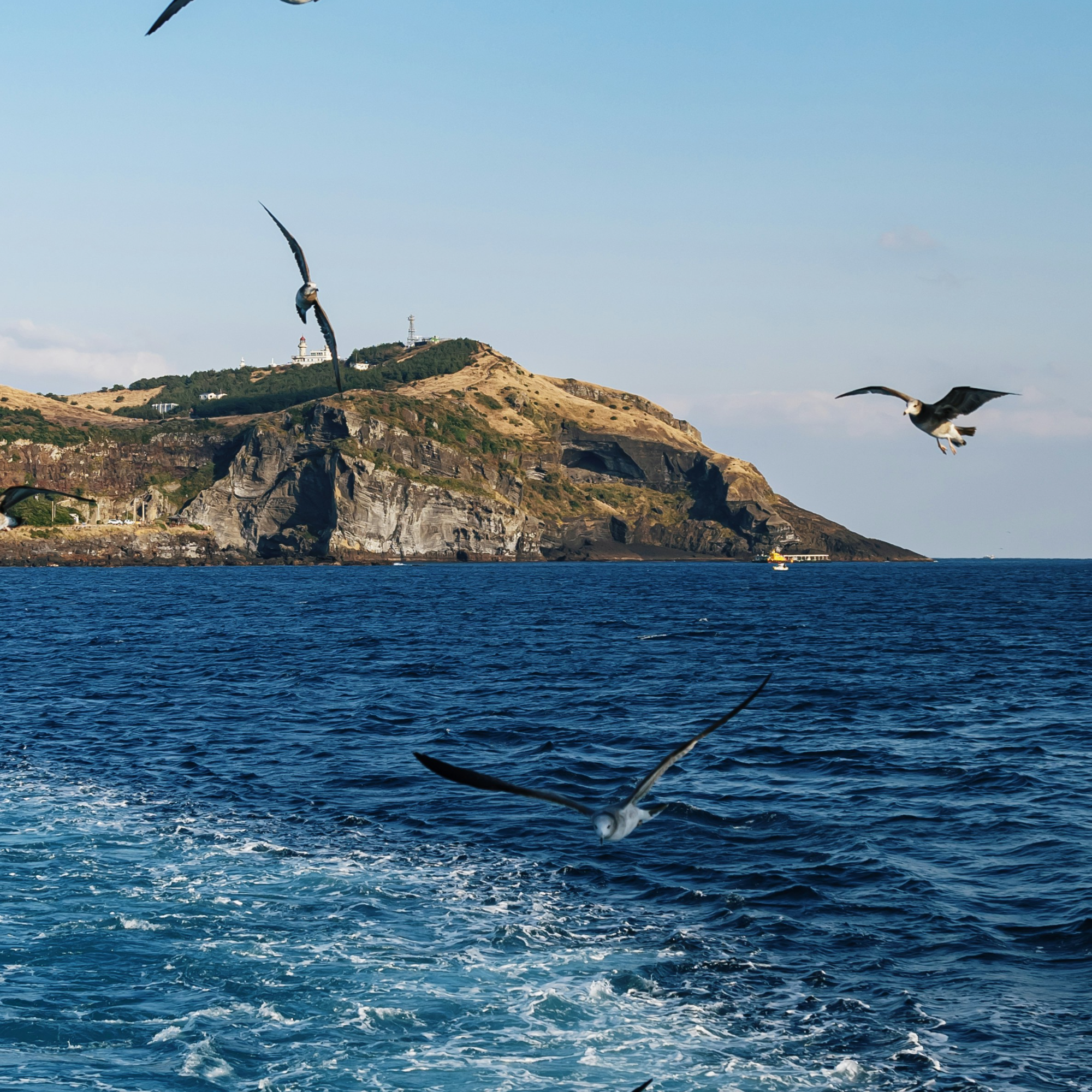제주도 동쪽 여행지