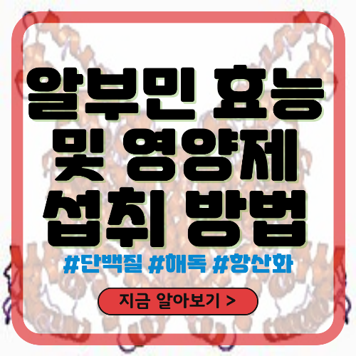 알부민 효능 및 영양제 섭취 방법과 부작용