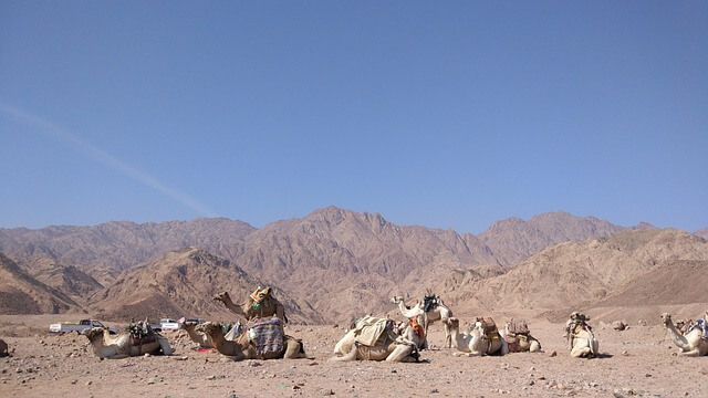 보령 월디페 티켓