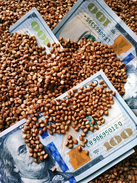 메밀묵을 활용한 다양한 요리법