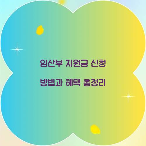 임산부 지원금