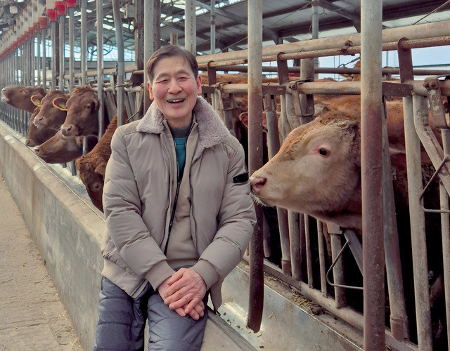 한우 축사에서 사육 중인 소와 농장 운영자 모습
