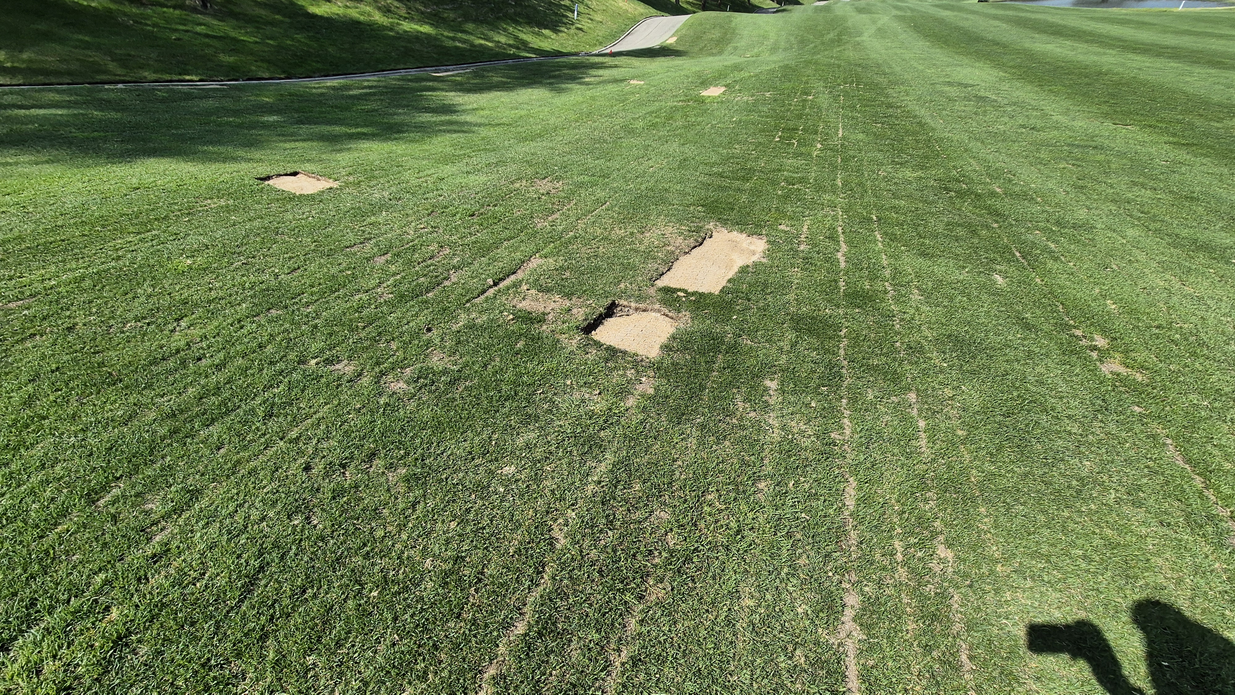 소노펠리체cc 비발디파크 웨스트