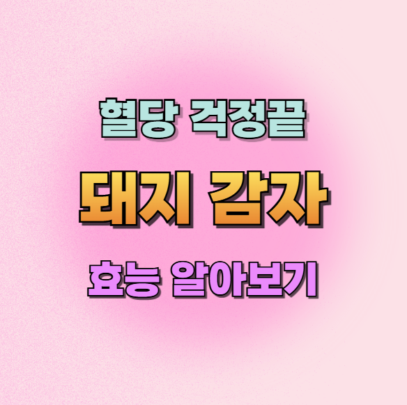 돼지감자효능