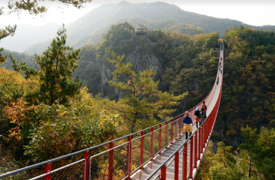 파주 시티투어 버스 예약