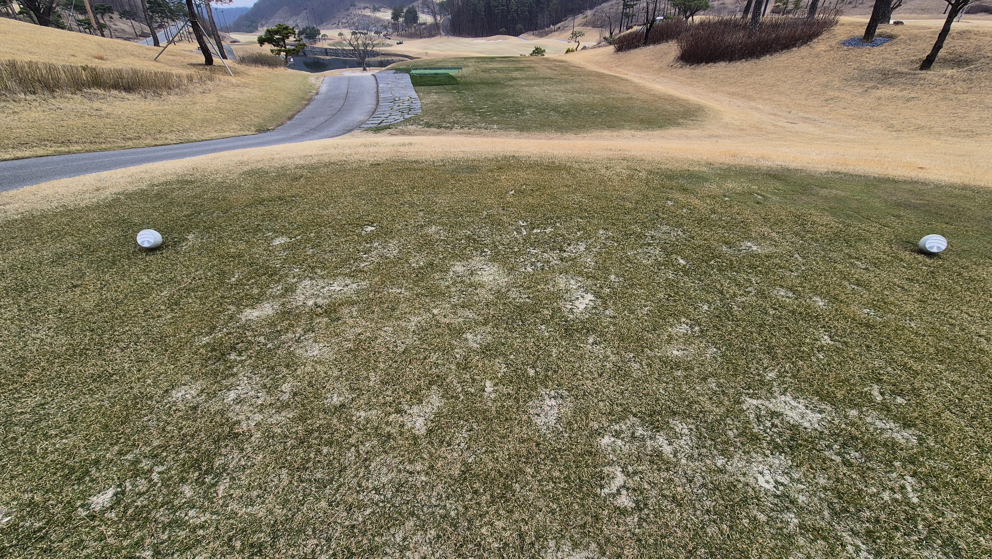 세현cc 티잉구역 상태