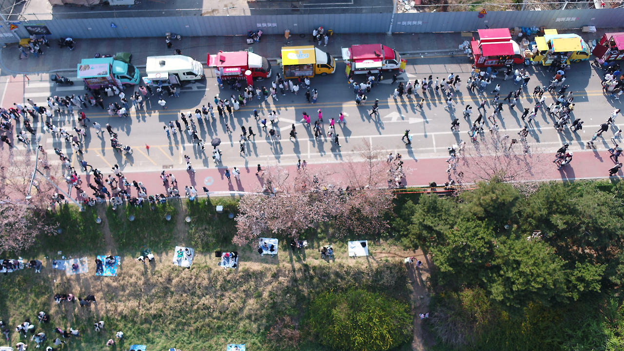 청주 무심천 벚꽃축제 주차 맛집 프로그램 총정리