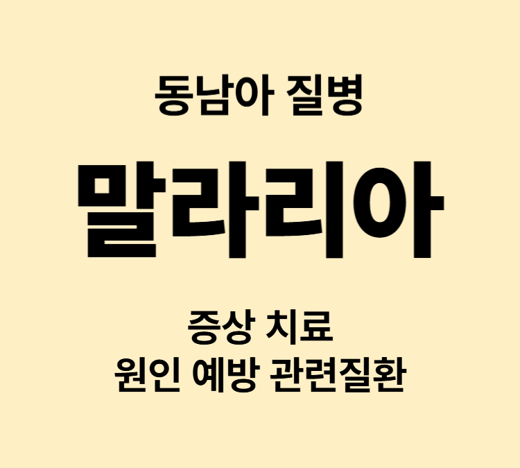 고열 오한 두통 근육통 구토 동남아 말라리아 증상 치료방법