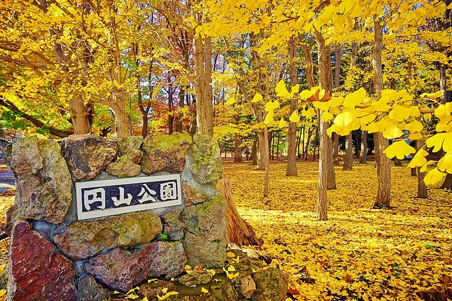 삿포로 단풍 명소