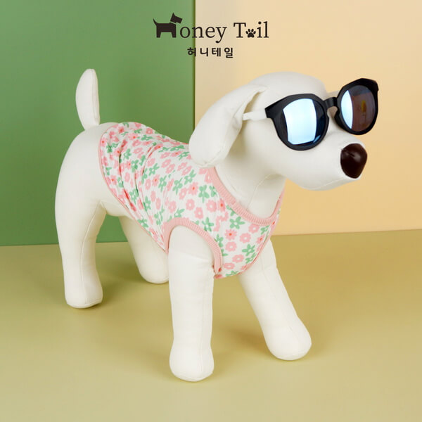 반려견 여름옷 선택방법 및 추천 TOP5 