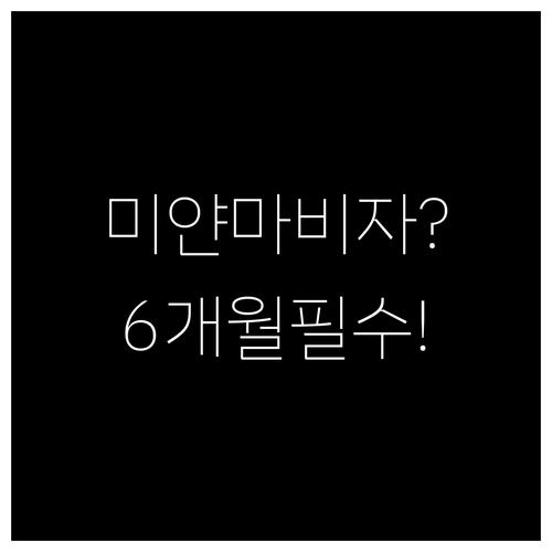 미얀마항공 미얀마 전자비자와 여권 유..