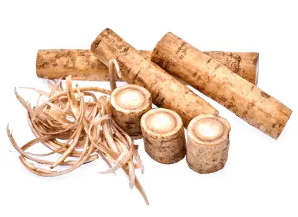 우엉차 효능과 영양성분, 먹는 방법 및 부작용