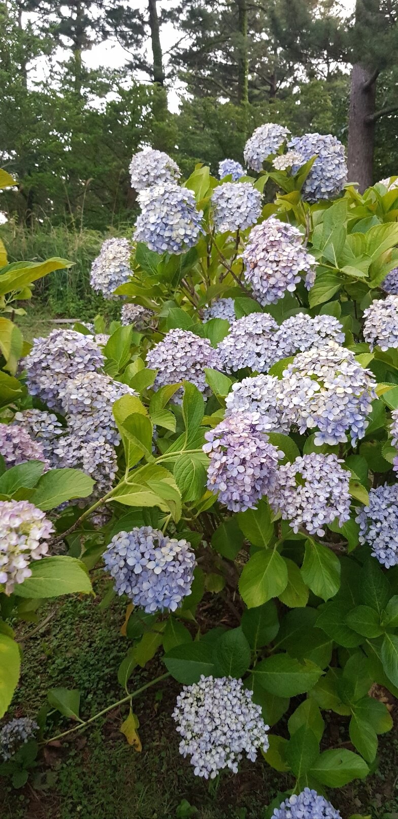 2025 사업자도 받을 수 있는 근로장려금 조건은?