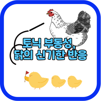 토닉 부동성, 닭의 신기한 반응