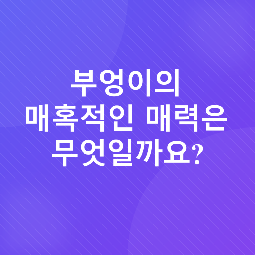 부엉이 인테리어 소품_1