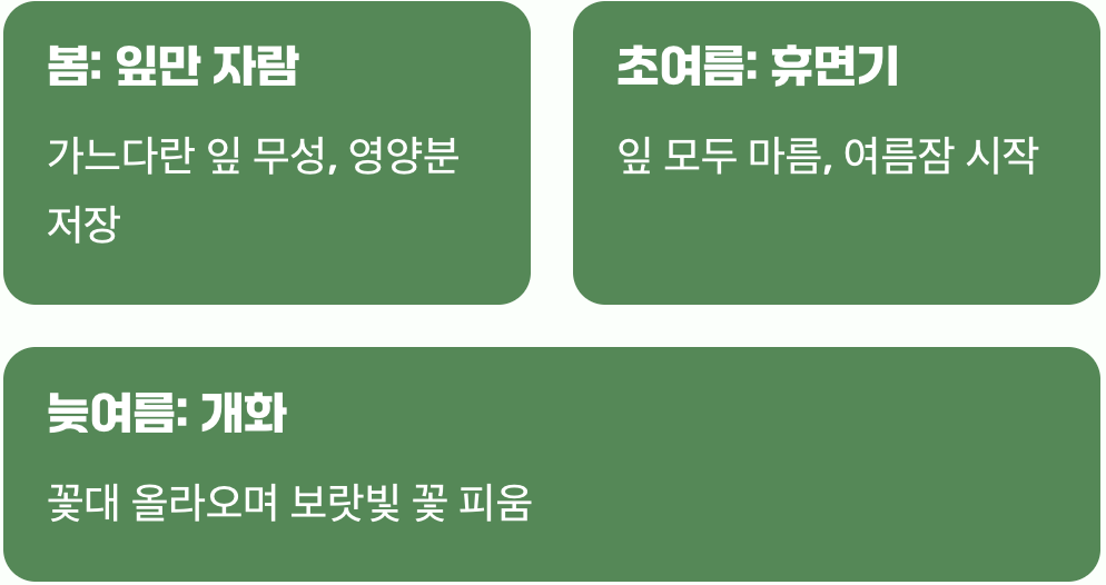 우리가 알아야 할 무릇의 시간표