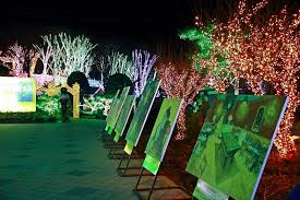 안산 별빛마을 애니멀 하트빌리지 빛축제