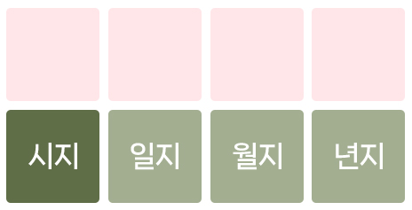 시지 장성살