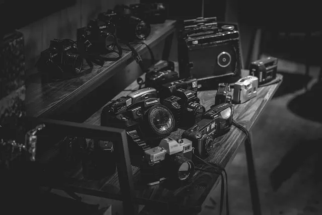 시흥 가볼만한곳 베스트10 현지인 추천 필수코스_7