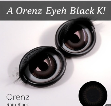 오렌즈레인블랙그림