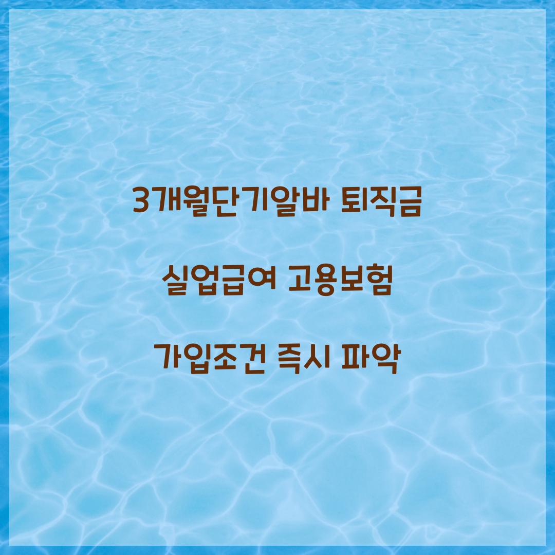 3개월단기알바