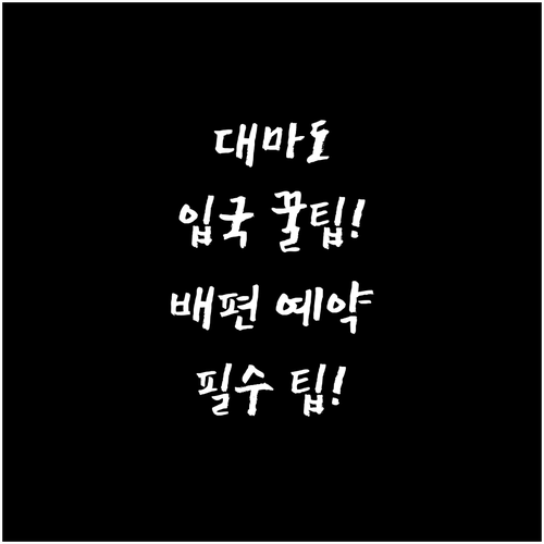 대마도 입국 준비와 배편 예약 꿀팁 ..