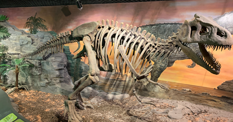 고성 공룡엑스포