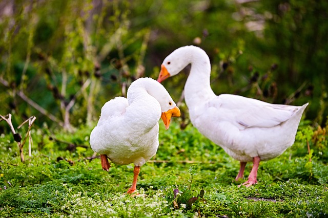 안정된, 변하지 않는 결혼 생활