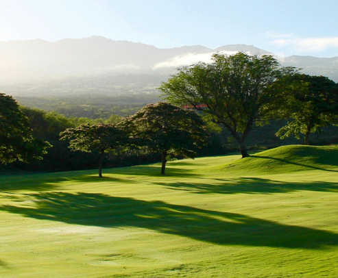 낮에 보이는 골프필드 풍경