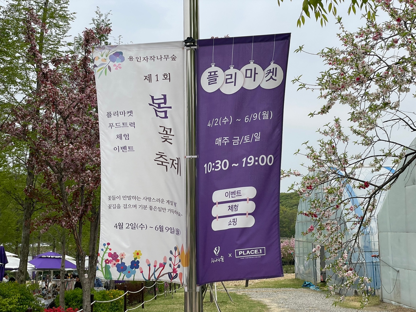 용인 자작나무숲 베툴라 대형 베이커피 카페