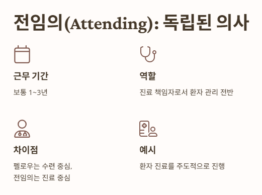 전임의(Attending): 진짜 독립된 의사