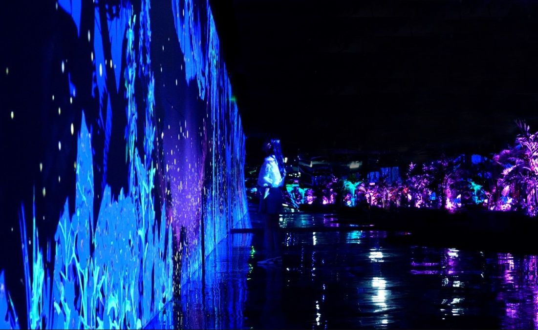 정글미디어파크