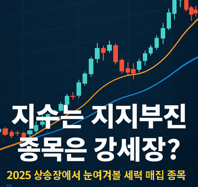 최근 상승종목에서 눈여겨볼것들!~