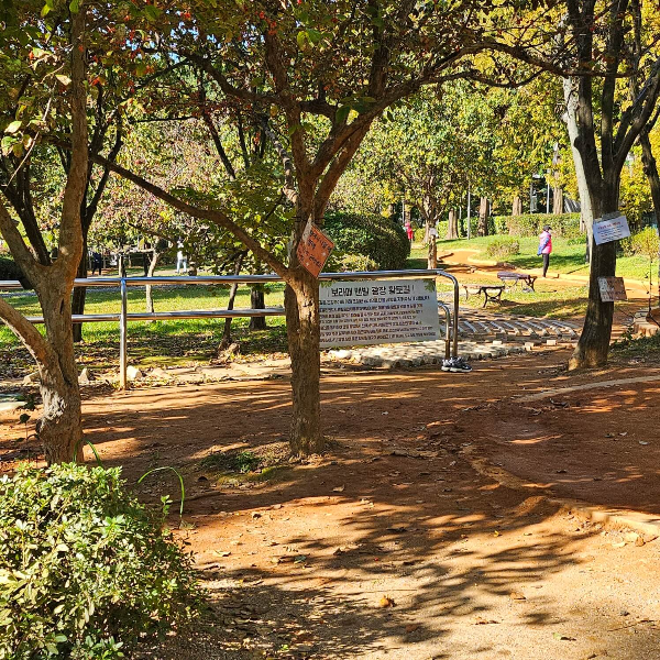 보라매공원-황토길