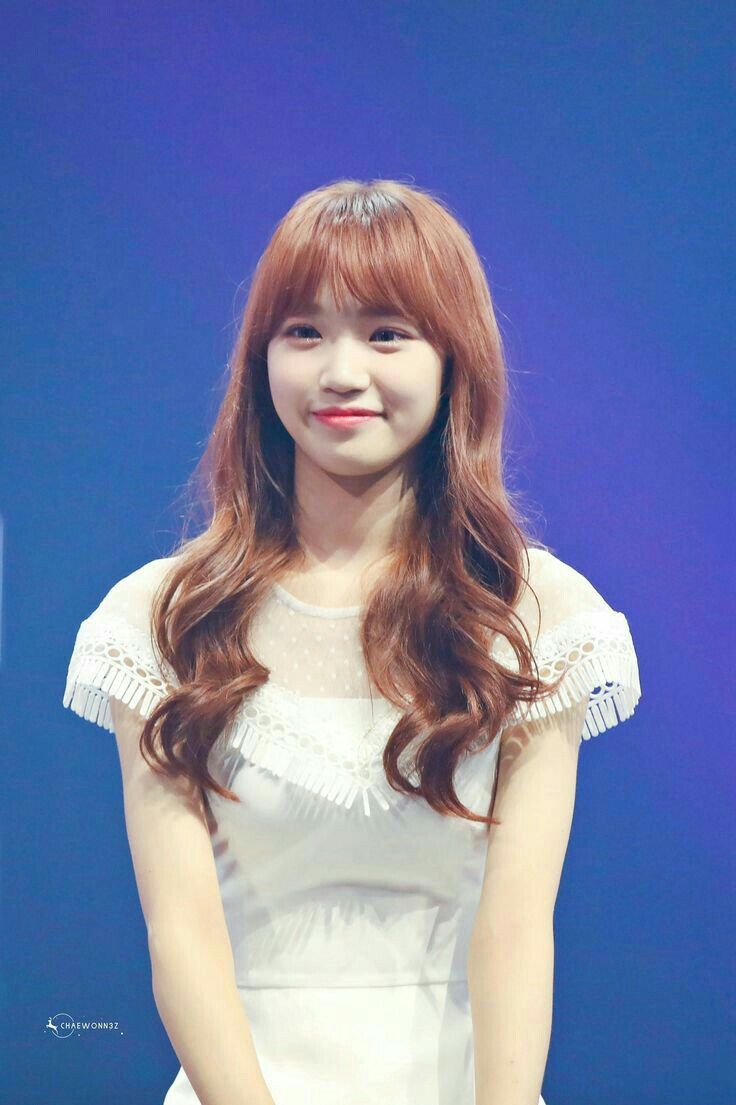 김채원 사진 모음